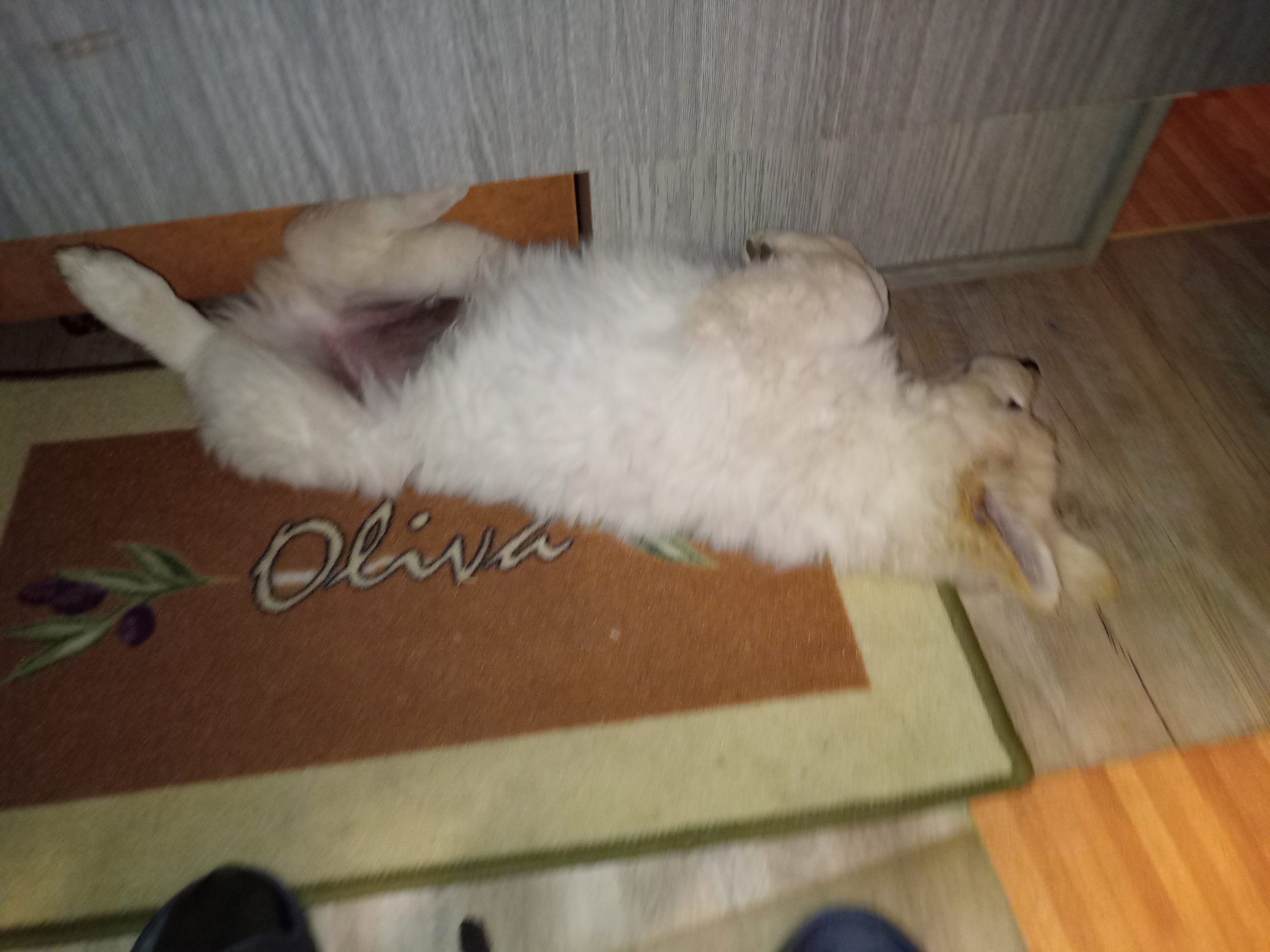 Konečně klid