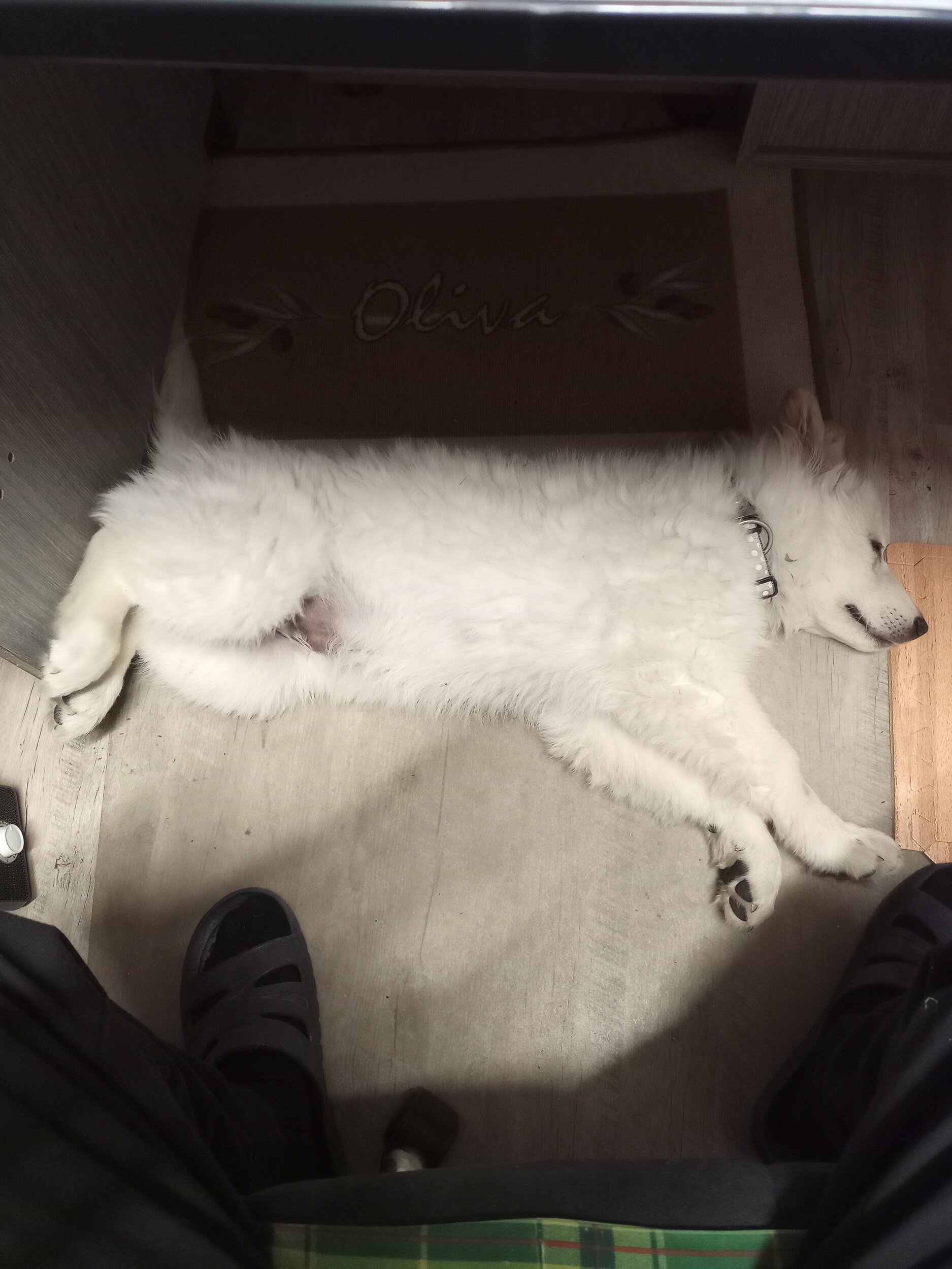 Konečně klid
