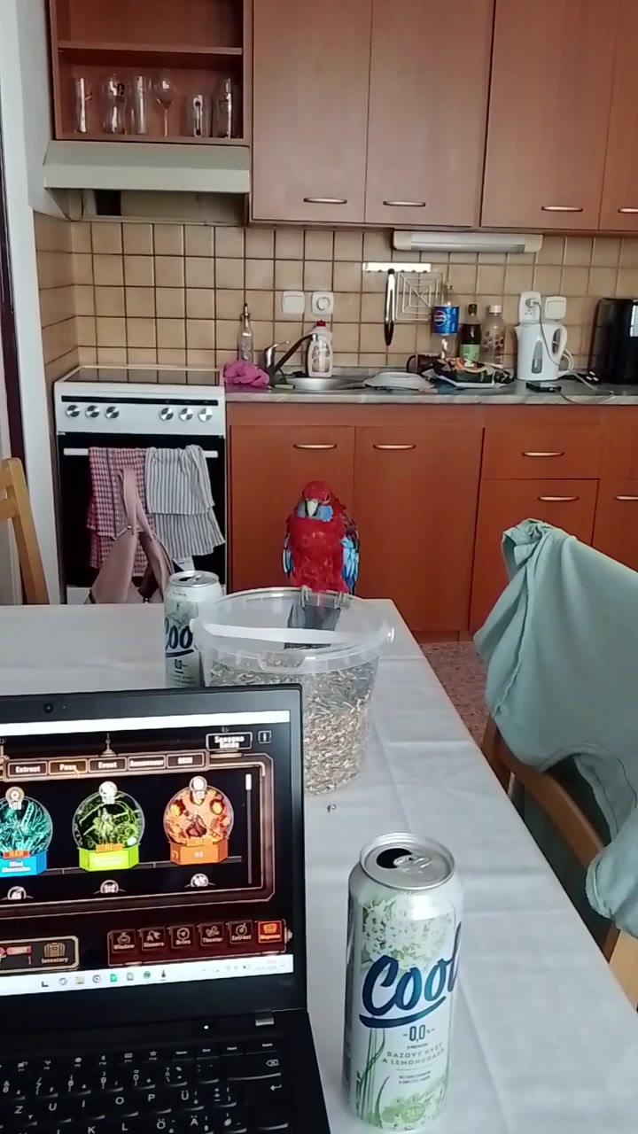 Prozkoumávání
